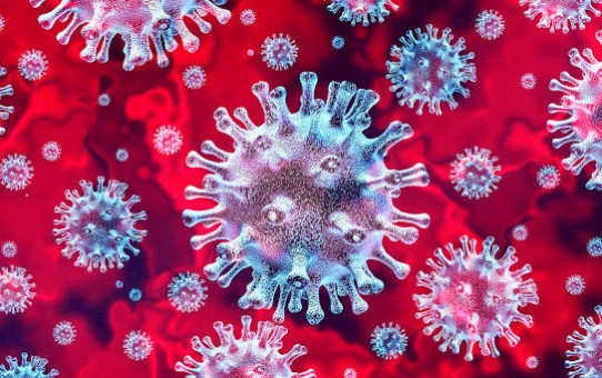 Pandemia de coronavirus provoca cancelamento do "Seminário Internacional de Nei Gong com Mestre Gianfranco Pace".